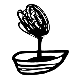 Little Island Press Limited